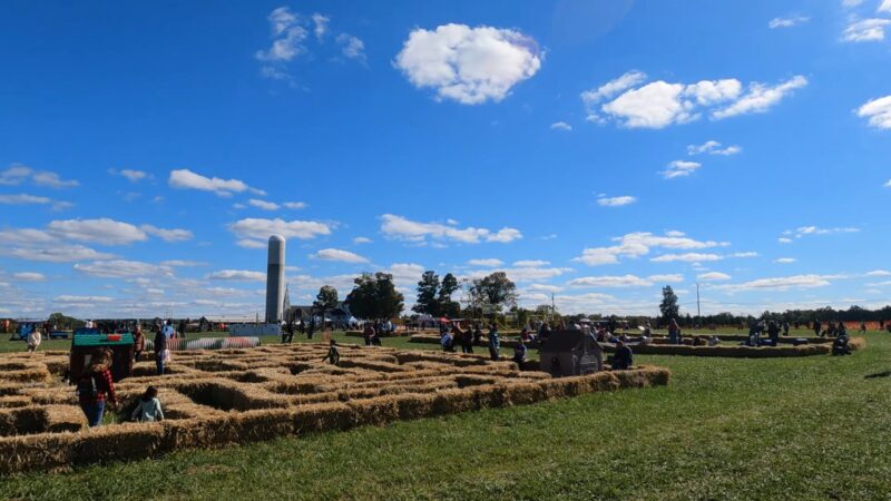 Snyder's Family Farm